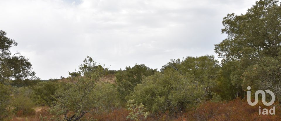 Terrain à Areias e Pias de 5 640 m²