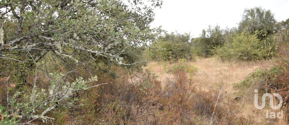 Terrain à Areias e Pias de 5 640 m²