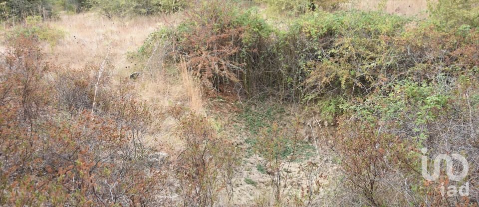 Terrain à Areias e Pias de 5 640 m²