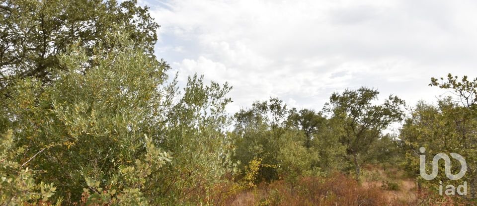 Terrain à Areias e Pias de 5 640 m²