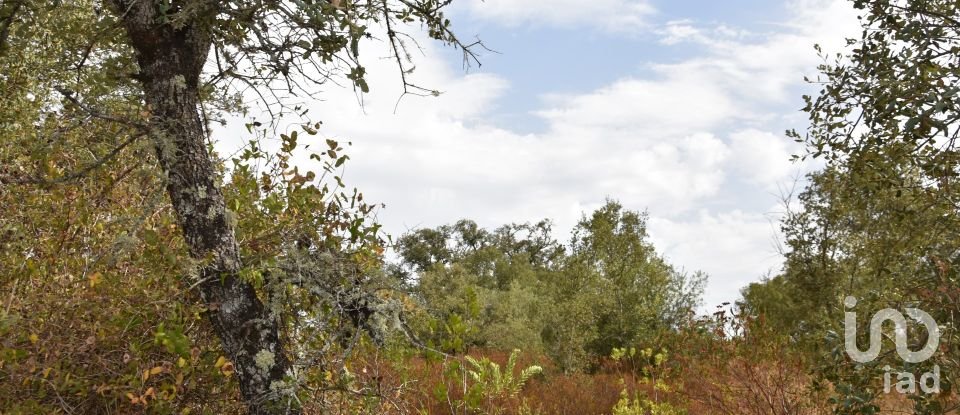 Terrain à Areias e Pias de 5 640 m²