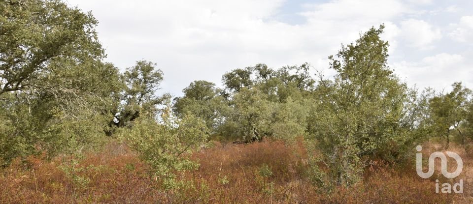 Terrain à Areias e Pias de 5 640 m²