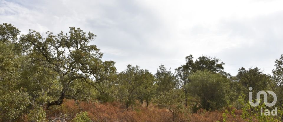 Terrain à Areias e Pias de 5 640 m²