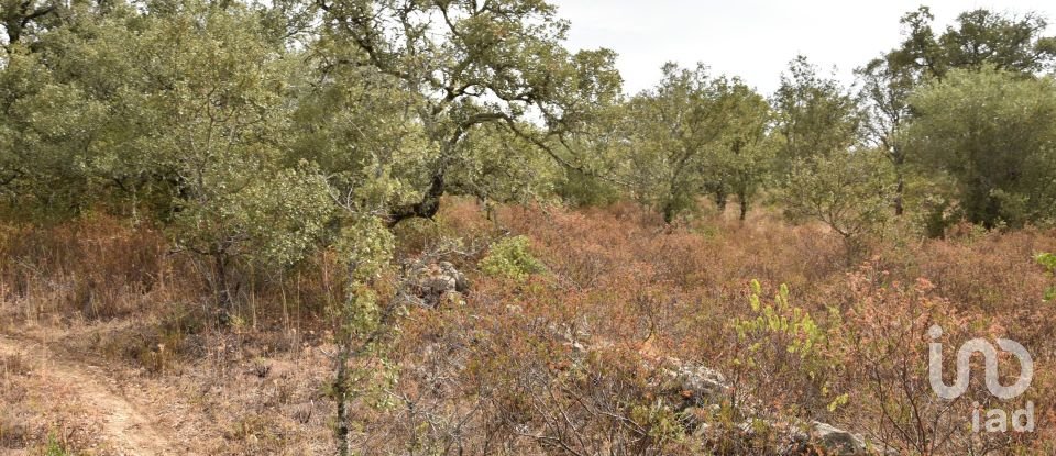 Terrain à Areias e Pias de 5 640 m²