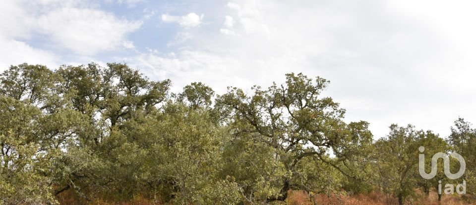 Terrain à Areias e Pias de 5 640 m²