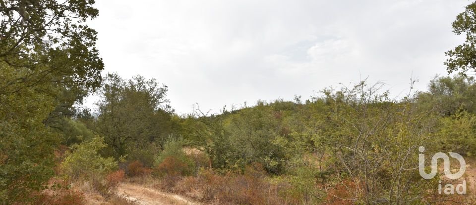 Terrain à Areias e Pias de 5 640 m²