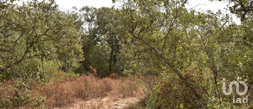 Terrain à Areias e Pias de 5 640 m²