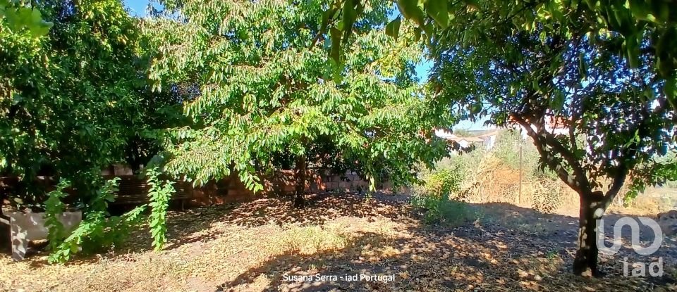 House T4 in Arez e Amieira do Tejo of 200 m²