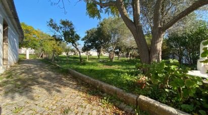 Ferme T5 à São Brás de Alportel de 220 m²