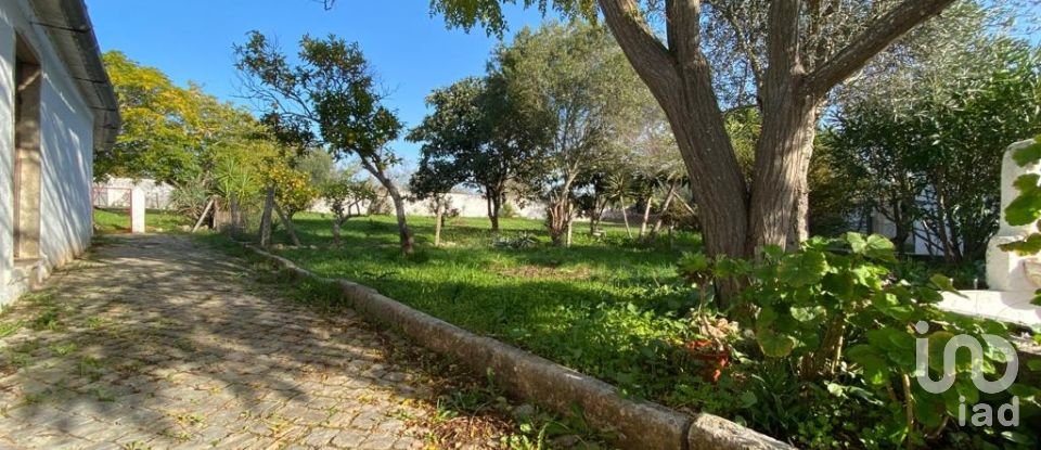 Ferme T5 à São Brás de Alportel de 220 m²