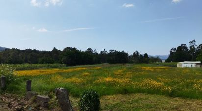 Terrain à bâtir à Cornes de 5 788 m²