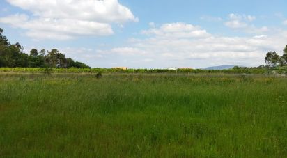 Terrain à bâtir à Cornes de 5 788 m²