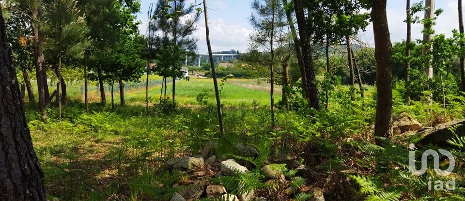 Terreno urbano em Cornes de 5 788 m²