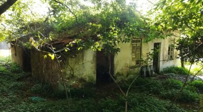 Farm T2 in Vila Nova De Cerveira E Lovelhe of 101 m²