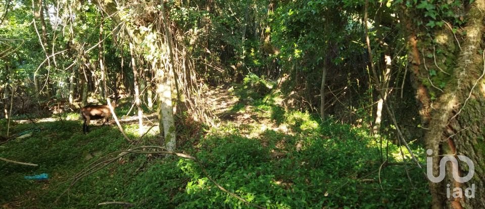 Farm T2 in Vila Nova De Cerveira E Lovelhe of 101 m²