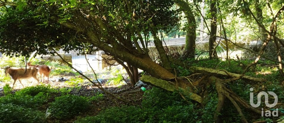 Farm T2 in Vila Nova De Cerveira E Lovelhe of 101 m²