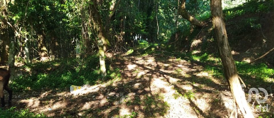 Farm T2 in Vila Nova De Cerveira E Lovelhe of 101 m²