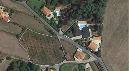 Building plot in Reboreda e Nogueira of 4,364 m²