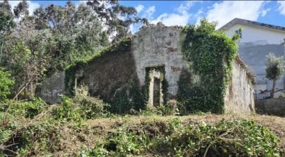 Village house T0 in Gondarém of 357 m²