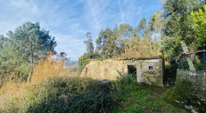 Village house T0 in Gondarém of 357 m²