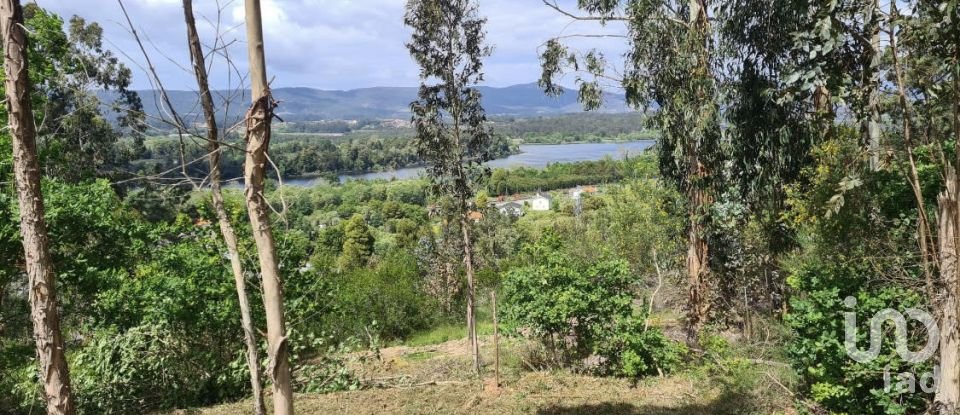 Village house T0 in Gondarém of 357 m²