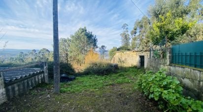 Village house T0 in Gondarém of 357 m²