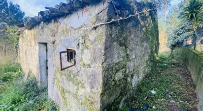 Village house T0 in Gondarém of 357 m²