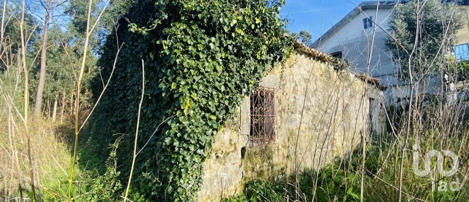 Village house T0 in Gondarém of 357 m²