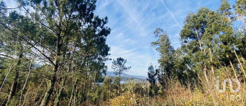 Village house T0 in Gondarém of 357 m²