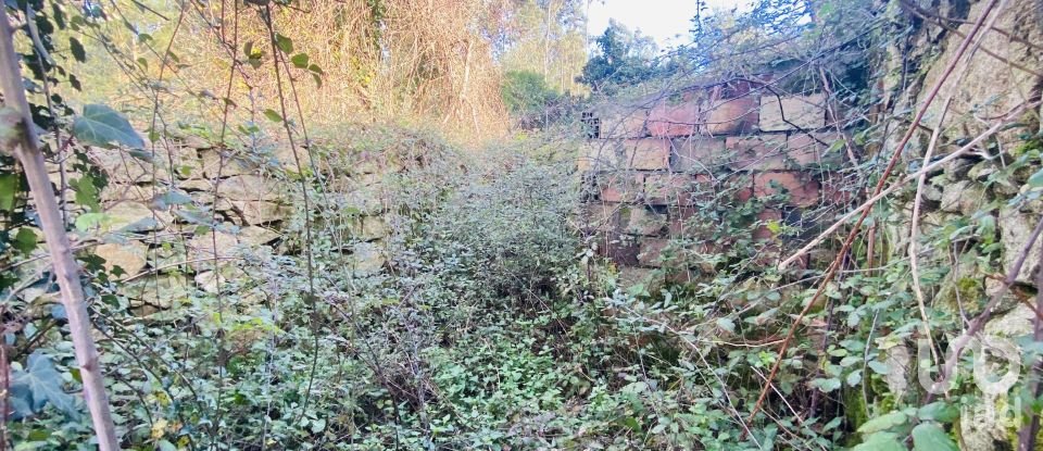 Village house T0 in Gondarém of 357 m²