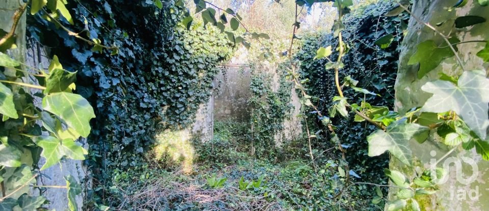 Village house T0 in Gondarém of 357 m²