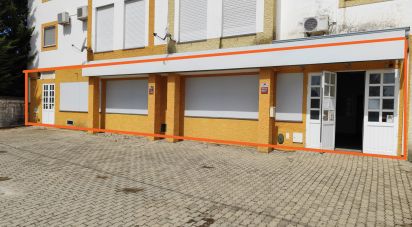 Boutique/Local commercial à Alter do Chão de 132 m²