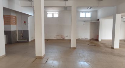 Boutique/Local commercial à Alter do Chão de 132 m²