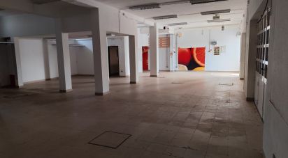 Boutique/Local commercial à Alter do Chão de 132 m²