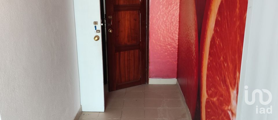 Boutique/Local commercial à Alter do Chão de 132 m²