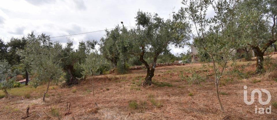 Maison de village T3 à Podentes de 140 m²