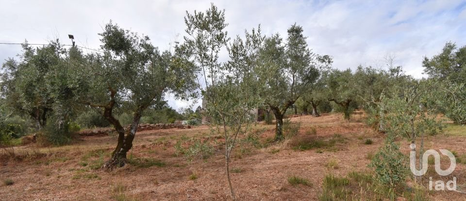 Maison de village T3 à Podentes de 140 m²