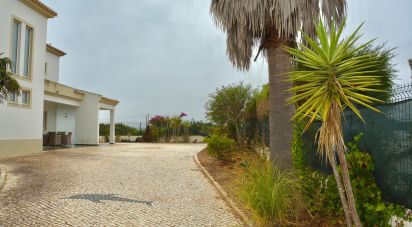 Moradia T3 em Luz de 224 m²