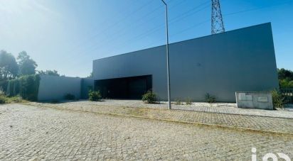 Shop / premises commercial in Mujães of 361 m²