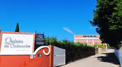 Boutique/Local commercial à Vila verde de 1 423 m²