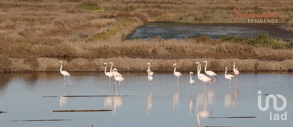 Boutique/Local commercial à Vila verde de 1 423 m²