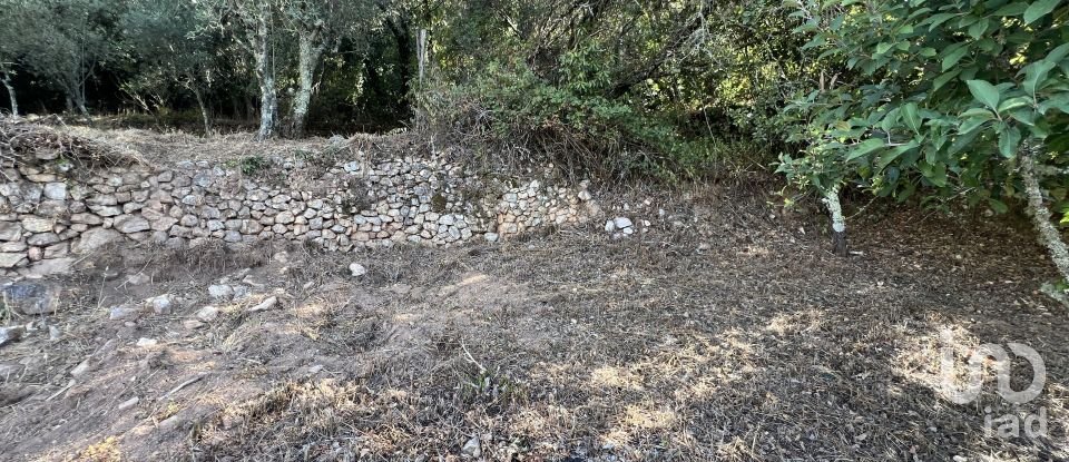 Maison T2 à Cumeeira de 155 m²