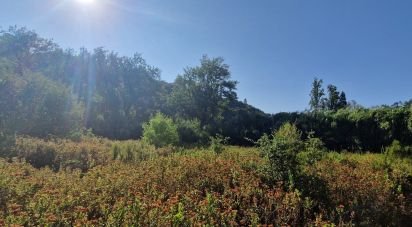 Terrain à Azueira e Sobral da Abelheira de 7 500 m²