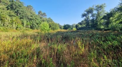 Terrain à Azueira e Sobral da Abelheira de 7 500 m²