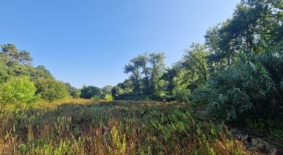 Terrain à Azueira e Sobral da Abelheira de 7 500 m²