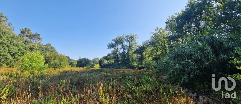 Land in Azueira e Sobral da Abelheira of 7,500 m²