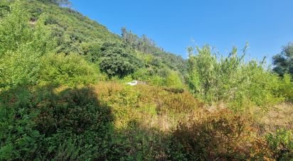 Terrain à Azueira e Sobral da Abelheira de 7 500 m²