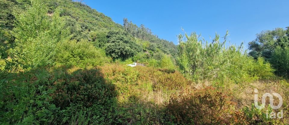 Land in Azueira e Sobral da Abelheira of 7,500 m²