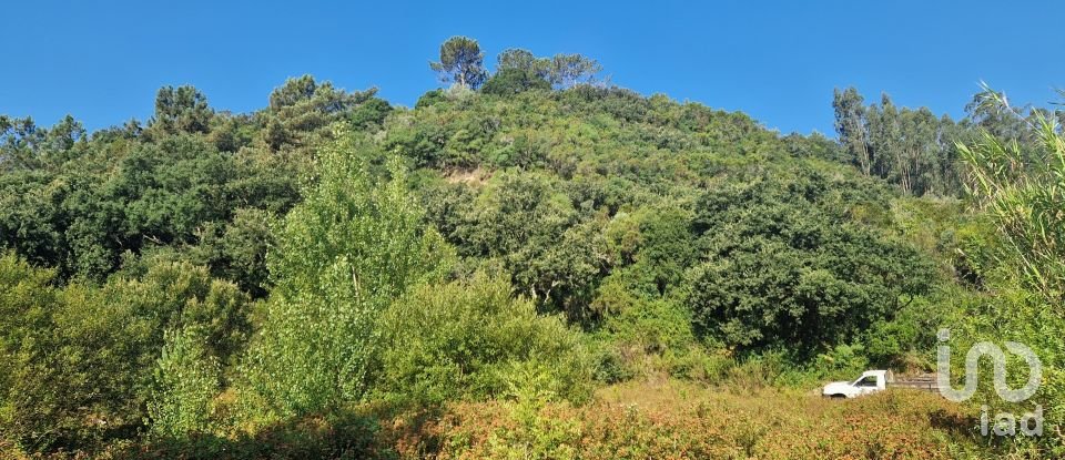 Land in Azueira e Sobral da Abelheira of 7,500 m²