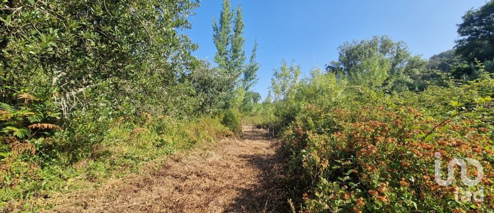 Land in Azueira e Sobral da Abelheira of 7,500 m²